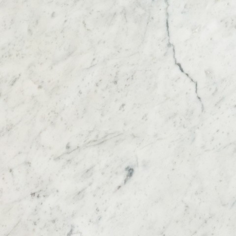 Bianco Carrara Polished Stone Field Tile
